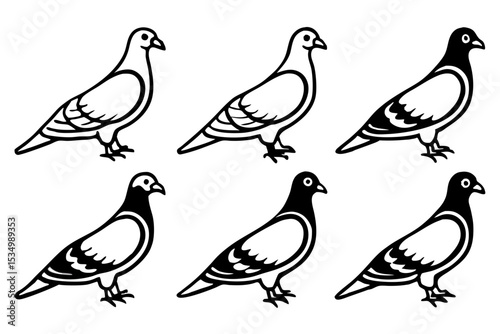 Minimalist Pigeon Vector Set
