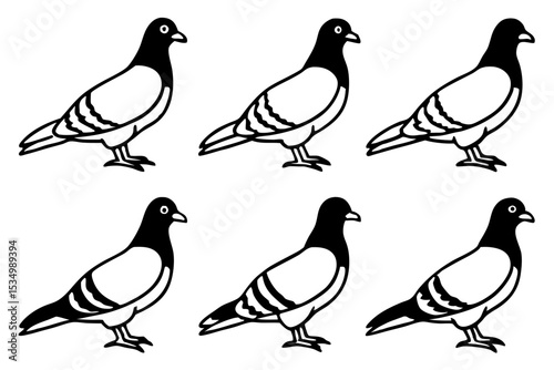 Minimalist Pigeon Vector Set