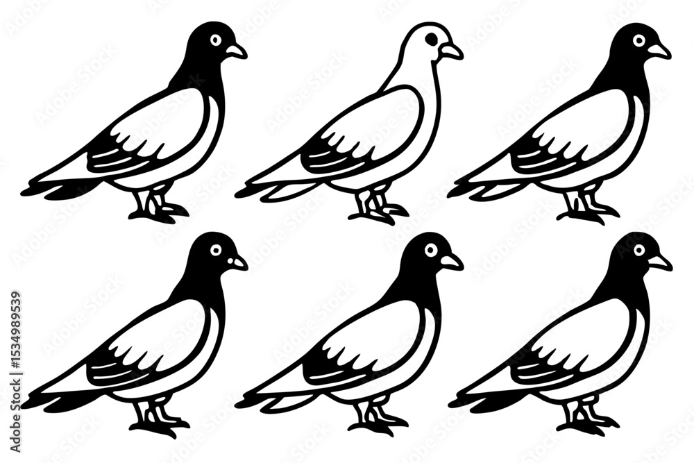 Fototapeta premium Minimalist Pigeon Vector Set