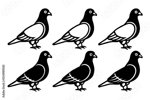 Minimalist Pigeon Vector Set