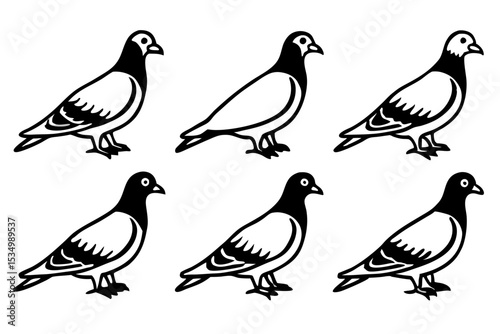 Minimalist Pigeon Vector Set