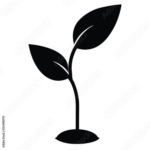 Small Plant Sprout Growing from Soil A Symbol of New Life and Growth