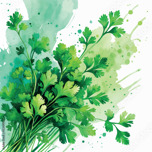 Whimsical Cilantro and Parsley Watercolor Art. Abstract Green Herbs Kitchen Illustration.