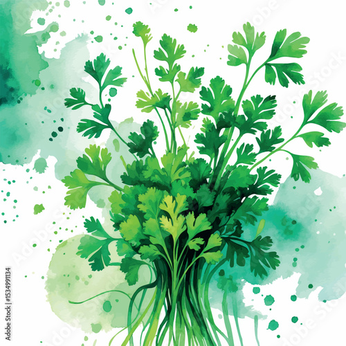 Whimsical Cilantro and Parsley Watercolor Art. Abstract Green Herbs Kitchen Illustration.