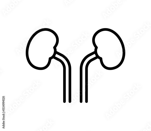 シンプルな腎臓のアイコンイラスト　ベクター
