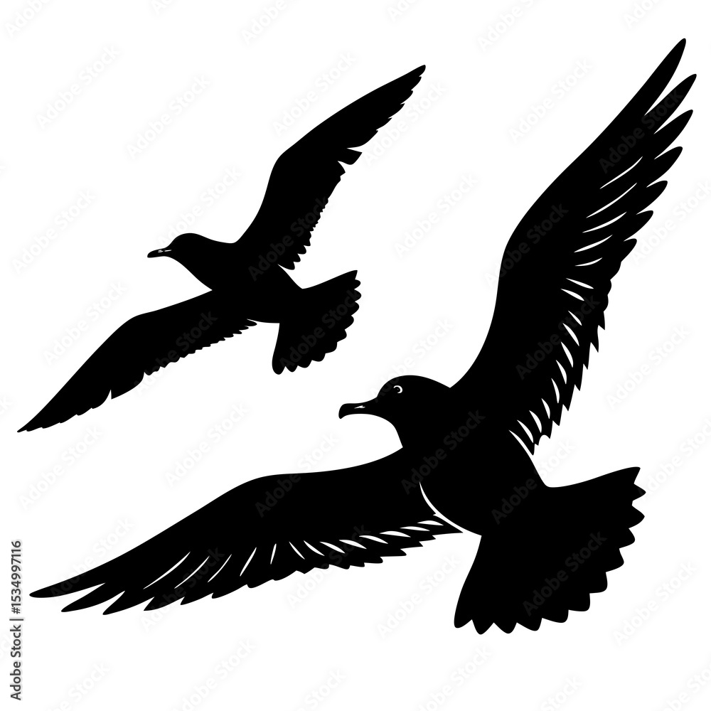 Obraz premium eagle in flight