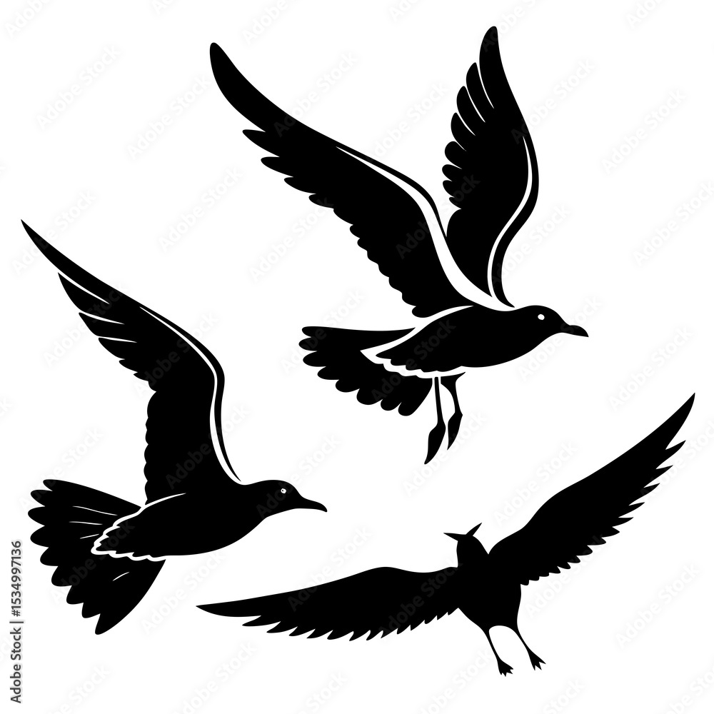 Obraz premium silhouette of a bird