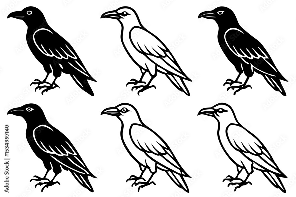 Fototapeta premium Raven Outline Design Collection