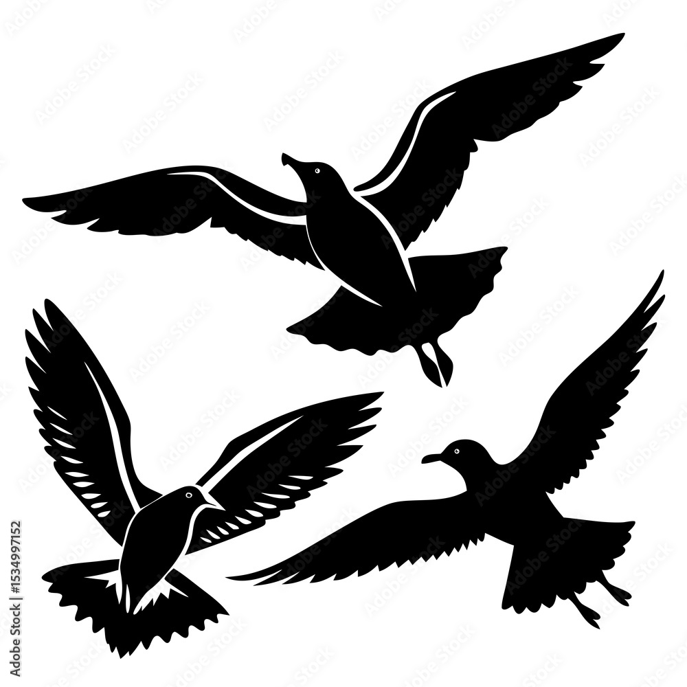 Obraz premium silhouettes of birds