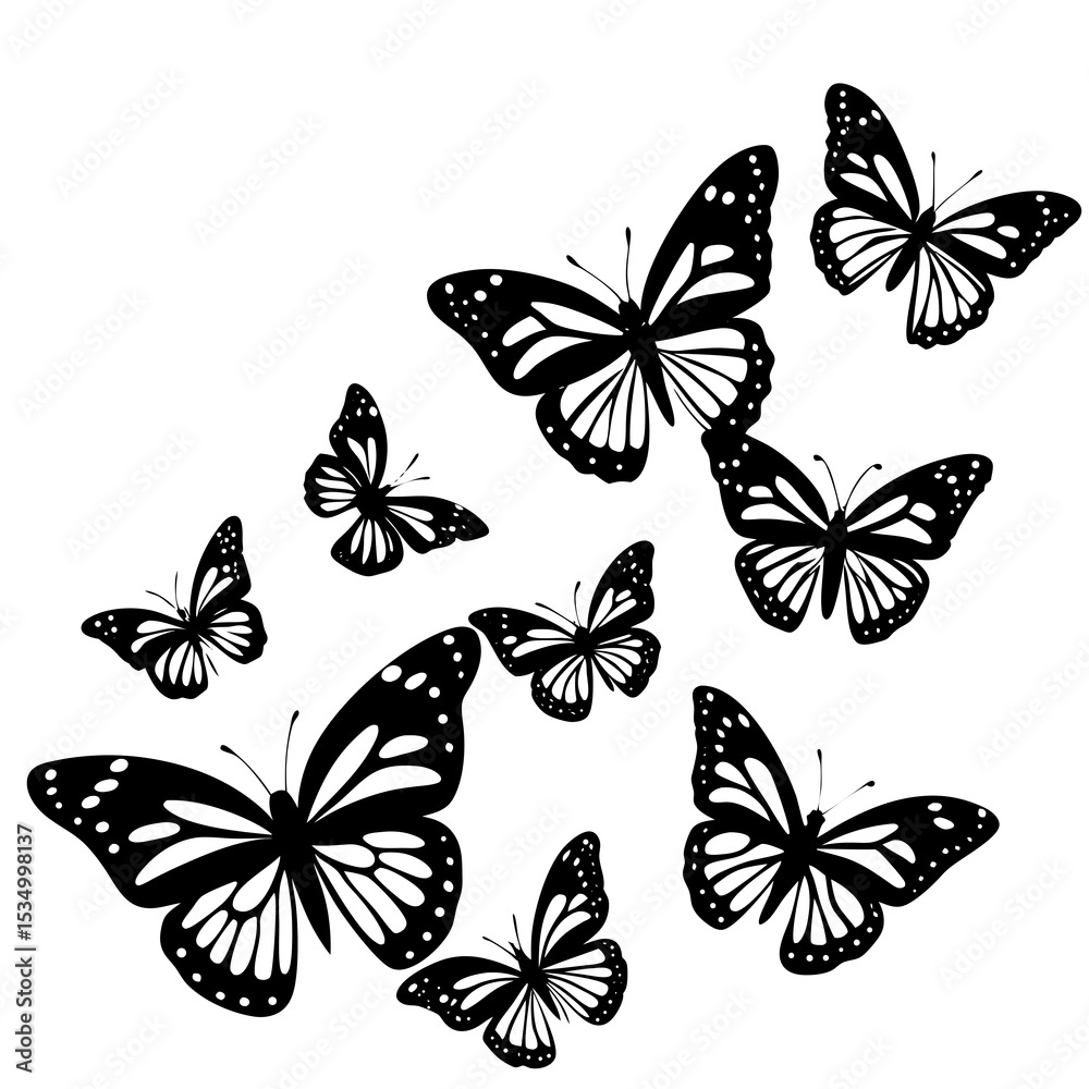 Fototapeta premium set of butterflies