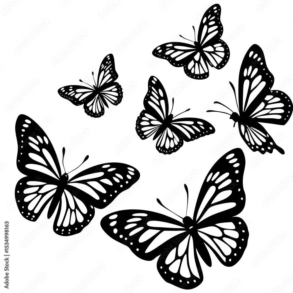 Fototapeta premium set of butterflies