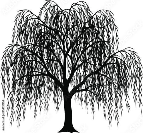 Weeping Willow Tree Silhouette; Willow Tree Silhouette design for high quality black and white; Black silhouette of willow tree