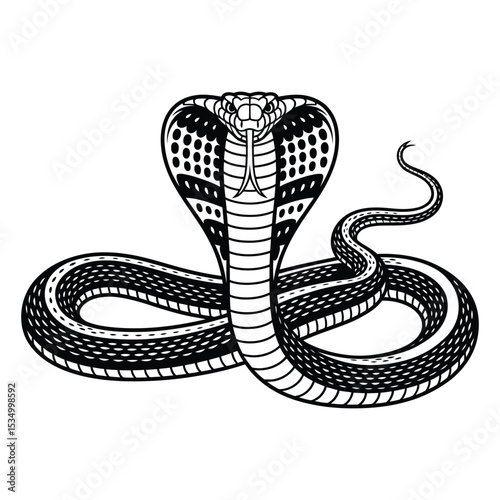 King Cobra Snake Illustration – Majestic Reptile Artwork

