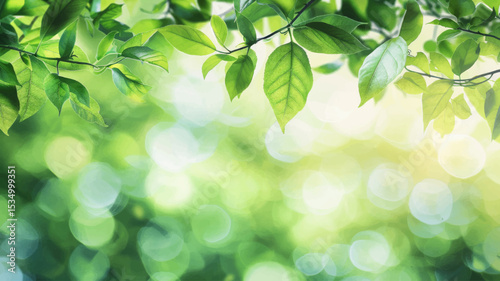 Green leaves over a blurred organic background. Fresh nature concept.