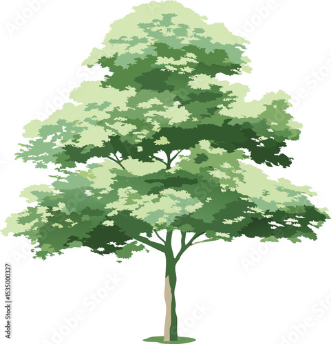 Detailed illustration of a single tree perfect for nature themed designs and projects