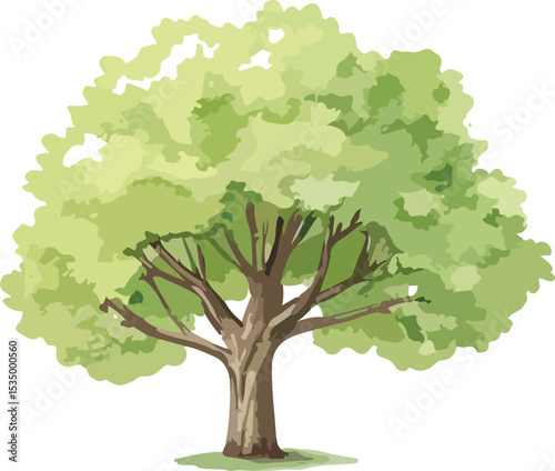 Detailed illustration of a single tree perfect for nature themed designs and projects