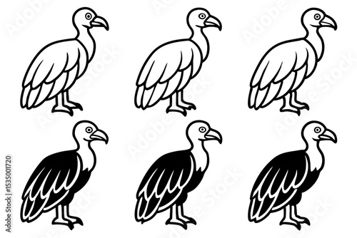 Vulture Sketch Line Art Collection