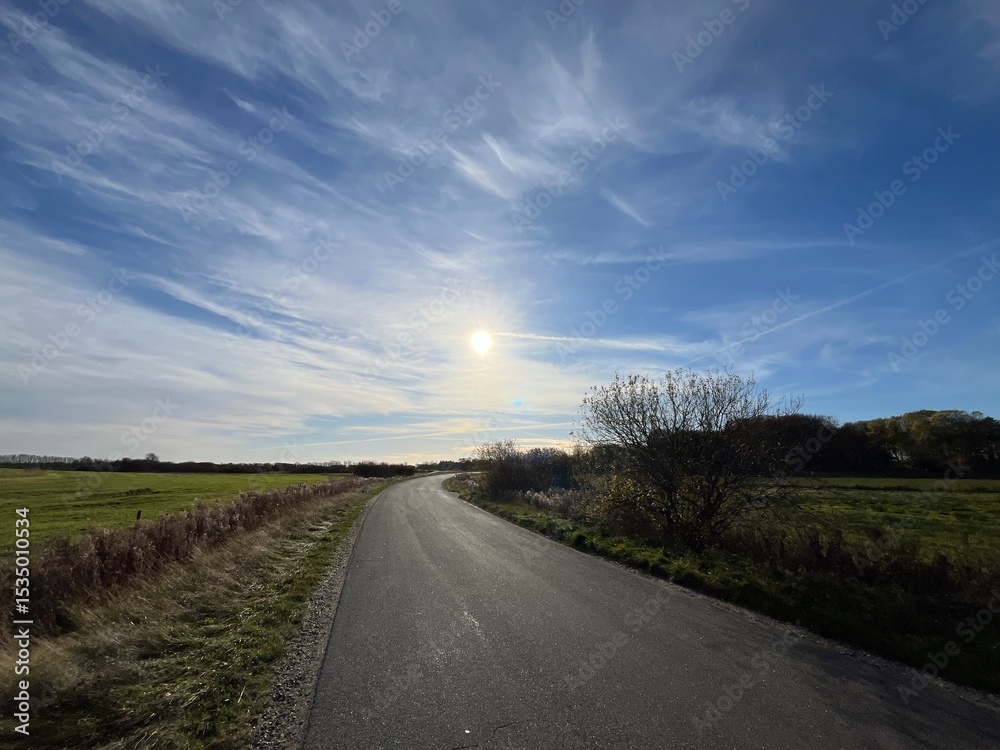 Fototapeta premium road in the sunset