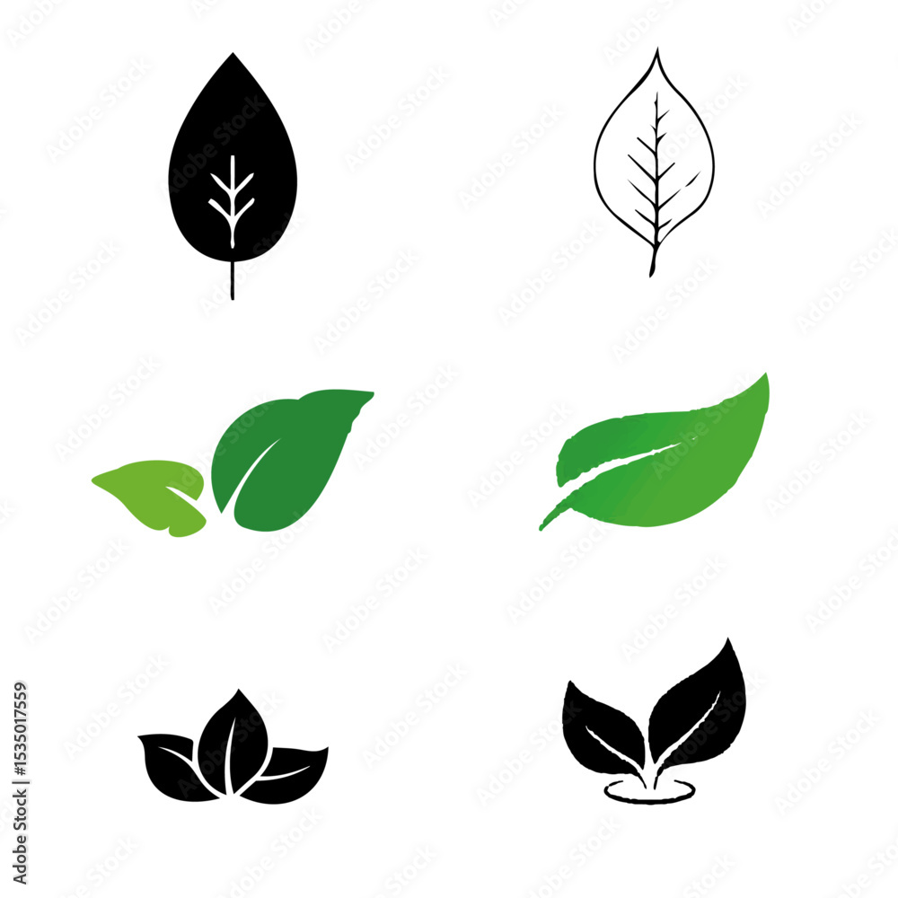 Fototapeta premium leaf ,treeleaf vector file