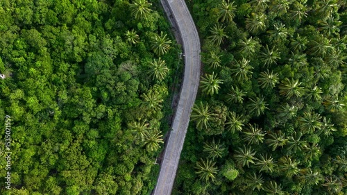 The mountain road on Koh Tao in summer, tourism on a tropical island