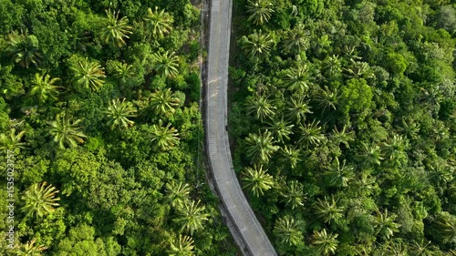 The mountain road on Koh Tao in summer, tourism on a tropical island
