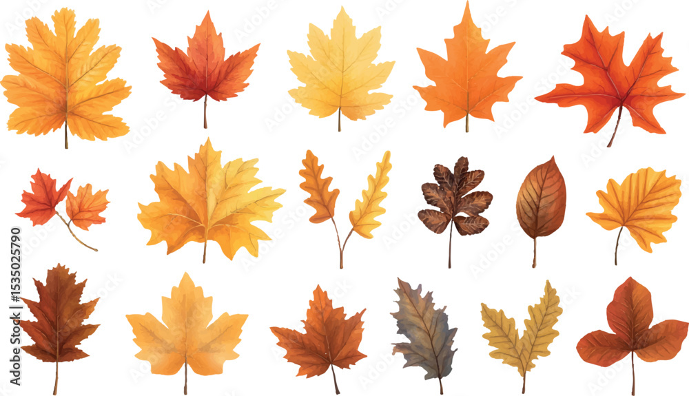 Fototapeta premium Collection of Watercolor Autumn Leaves Isolated on White Background Featuring Various Maple Oak and Other Tree Leaves in Shades of Yellow Orange Brown and Red