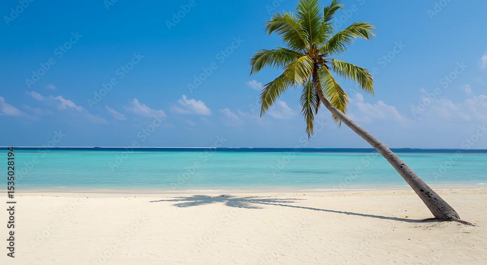 Fototapeta premium Serene Tropical Beach Scene Palm Tree on Pristine White Sand and Turquoise Water