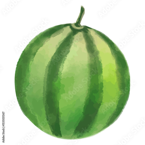 手描きのかわいいスイカのイラスト