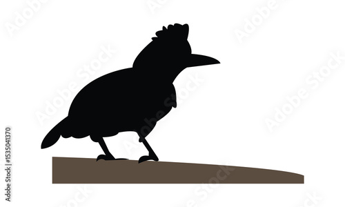 Amazonian umbrellabird bird Silhouette Design  And Vector Illustration. 