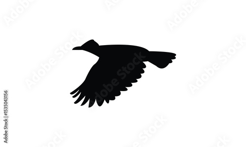Amazonian umbrellabird bird Silhouette Design  And Vector Illustration. 