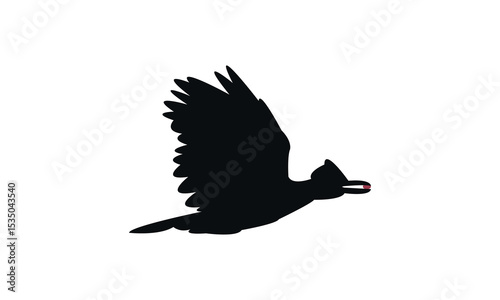 Amazonian umbrellabird bird Silhouette Design  And Vector Illustration. 