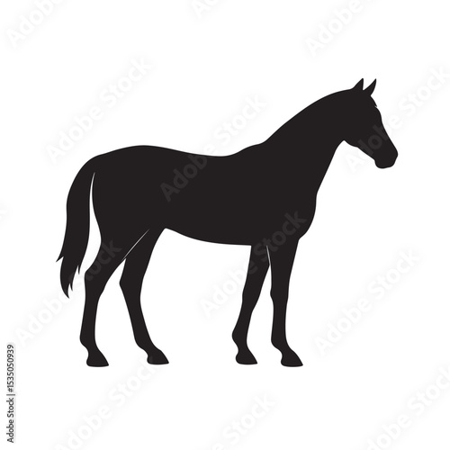 Silhouette of a Horse Standing Gracefully in Side Profile View