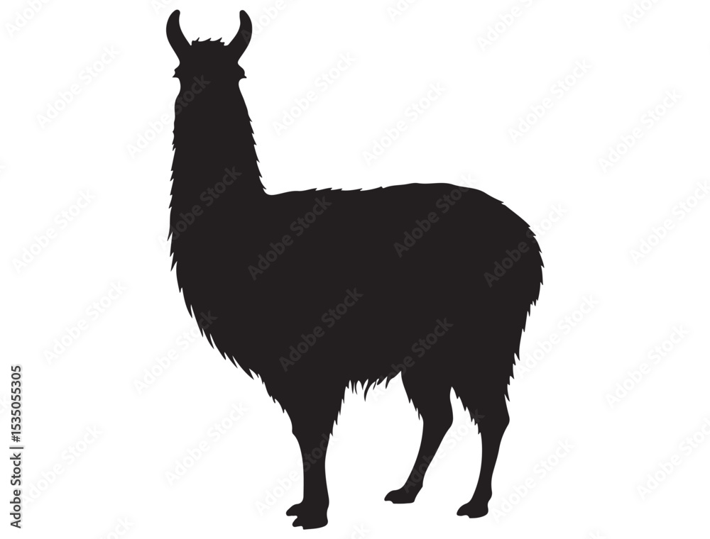 Fototapeta premium SYLWETKA LAMA