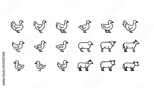 A collection of simple line drawings featuring chickens ducks and sheep arranged in neat rows on white background