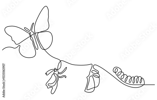 Continuous one line drawing of butterfly life cycle. One line drawing illustration of butterfly metamorphosis. Butterfly transformation concept continuous line art. Editable outline.