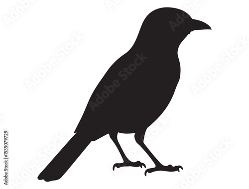 MOCKINGBIRD SILHOUETTE