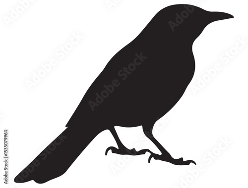 MOCKINGBIRD SILHOUETTE