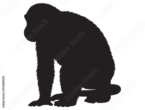 MONKEY SILHOUETTE