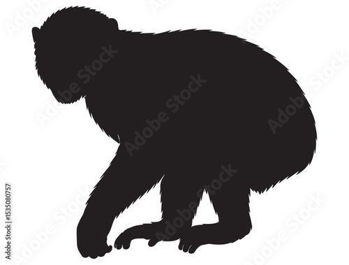 MONKEY SILHOUETTE