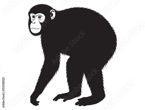 MONKEY SILHOUETTE