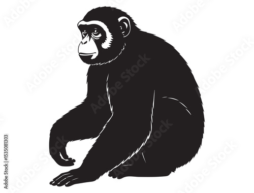 MONKEY SILHOUETTE