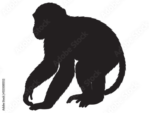 MONKEY SILHOUETTE