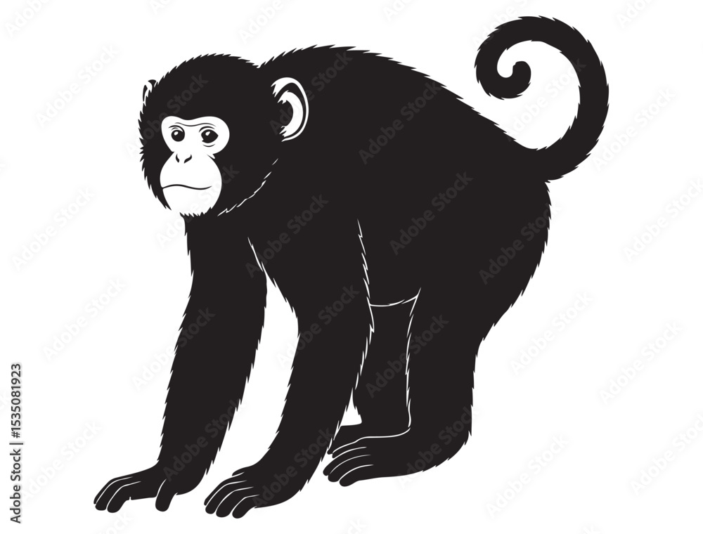 Obraz premium MONKEY SILHOUETTE