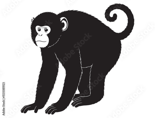 MONKEY SILHOUETTE