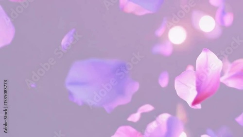ピンク色の花びらが舞っている