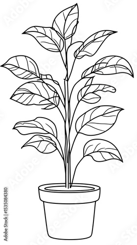 Minimalist black and white line art of tall potted houseplant with elongated leaves and simple pot outline in vector illustration style