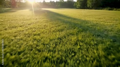 Meadow at Sunrise – Cinematic Drone Morning Landscape