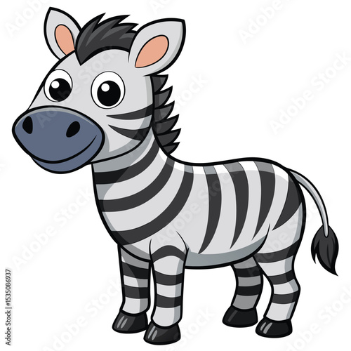 Zebra white background