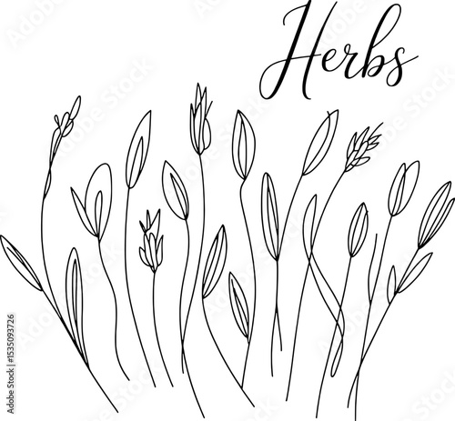 Black Line Art Drawing of Various Herbs and Flowers