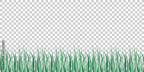 Green Grass border isolated on transparent background, vector illustration. Realistic green seamless grass,lawn.